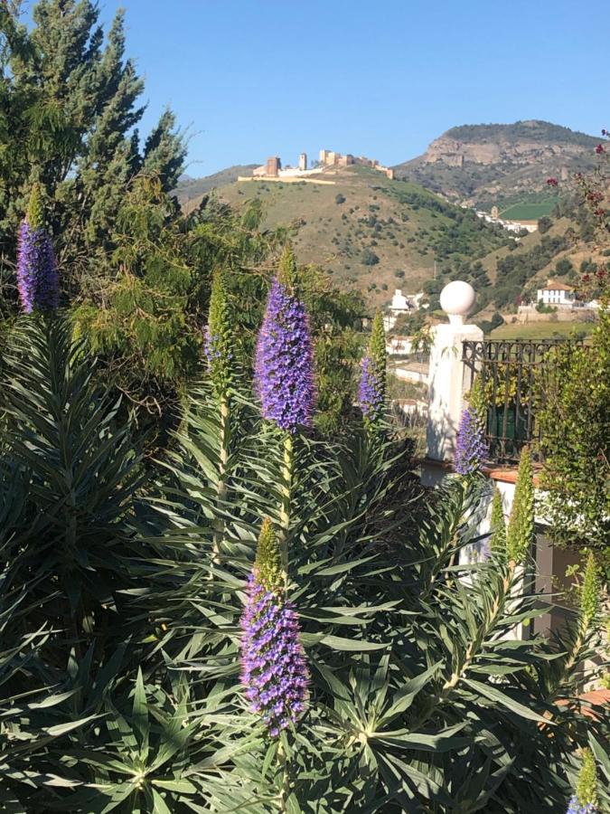 La Barranca De La Barca Bed & Breakfast Alora Dış mekan fotoğraf