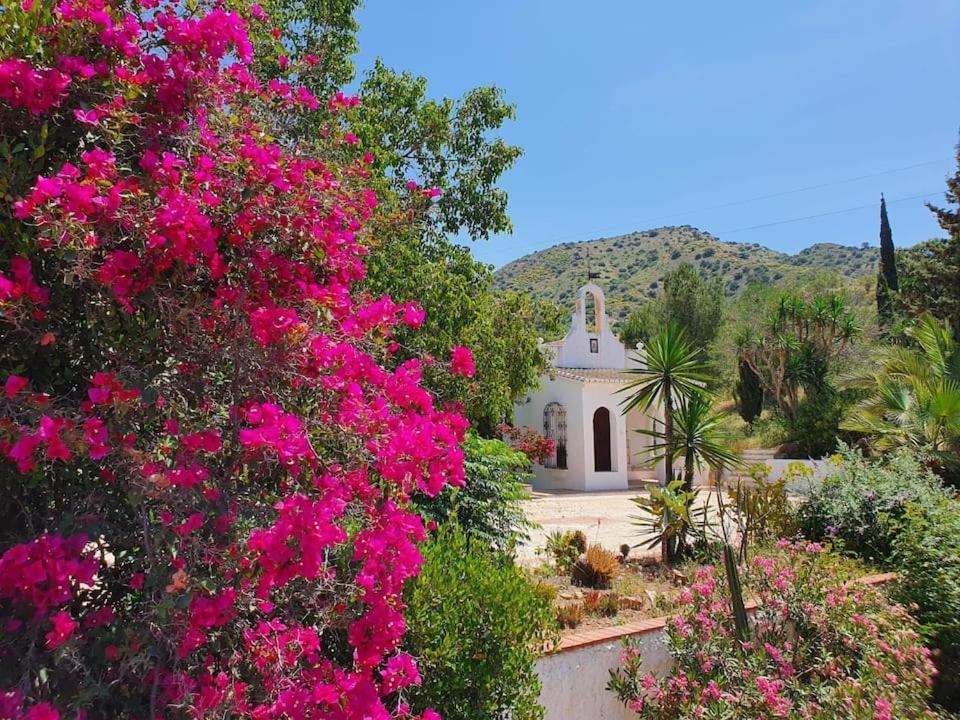 La Barranca De La Barca Bed & Breakfast Alora Dış mekan fotoğraf