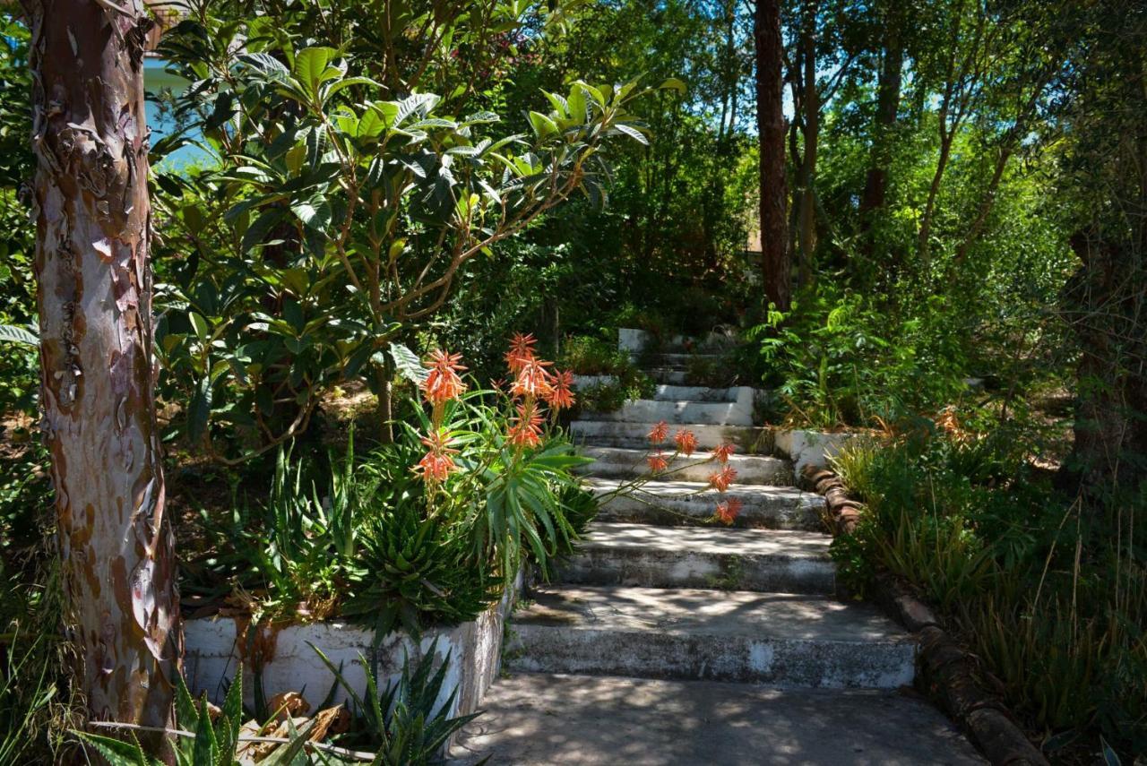 La Barranca De La Barca Bed & Breakfast Alora Dış mekan fotoğraf